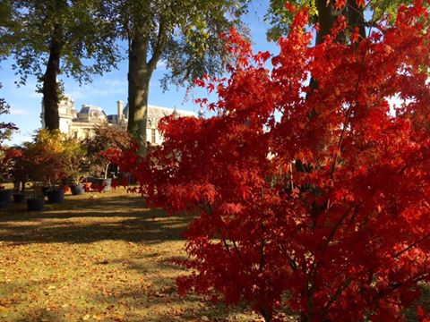 Sortir à Chantilly cet automne